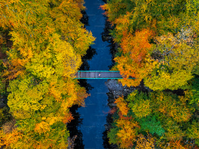 Bridging the Data-to-Decision Gap: How CMOs Can Turn Marketing Metrics into Revenue Action